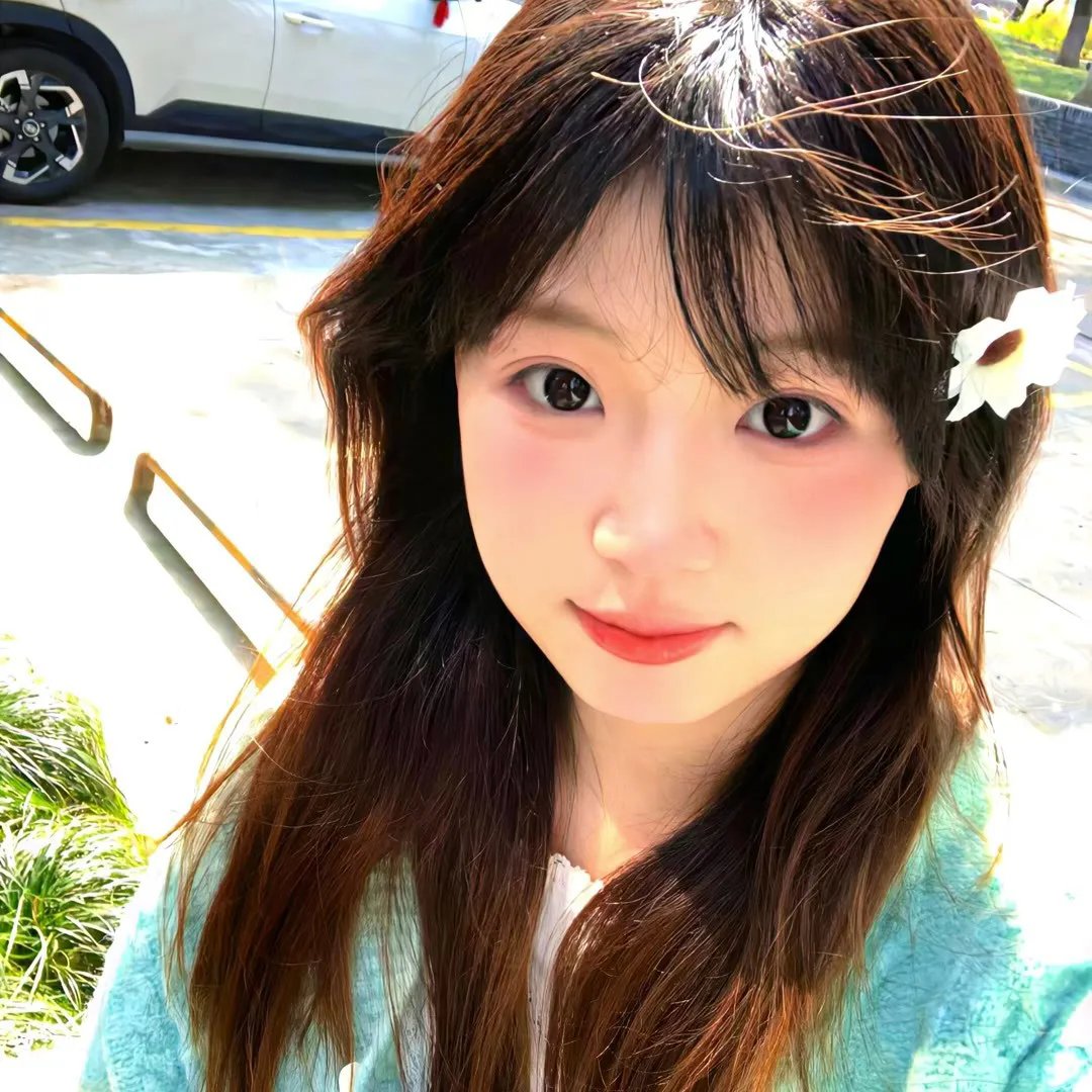 蜘蛛的策略